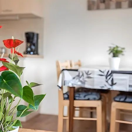 Vakantielodge Aan De Kust